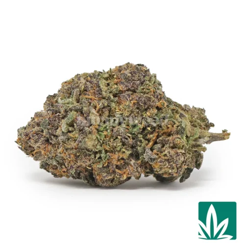 Blue Jam Strain - 1