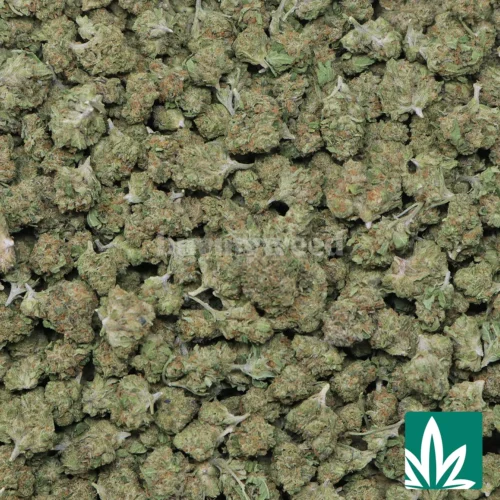Dr 'Smalls' Strain - 2