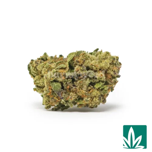 Dr 'Smalls' Strain - 1