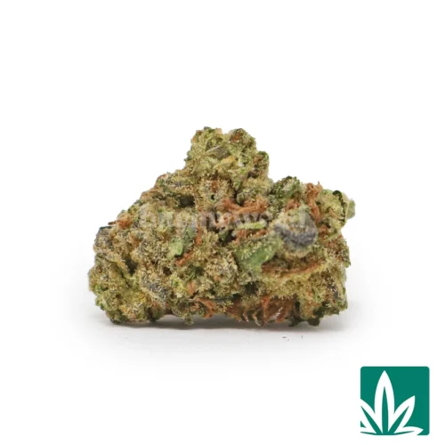 Garlic Breath 'Smalls' Strain - 1