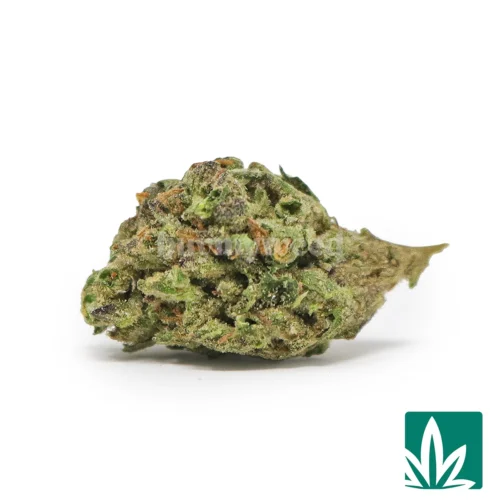 Garlic Candy 'Smalls' Strain - 1