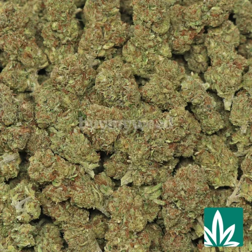 Grandi Candy Strain - 2