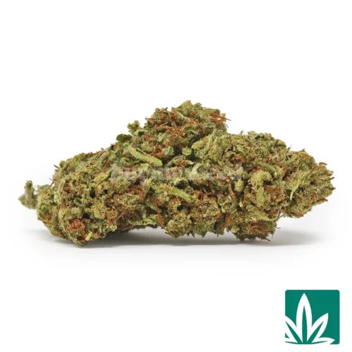 Grandi Candy Strain - 1