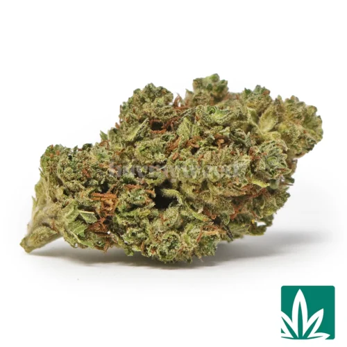 Grease Runtz Strain - 1