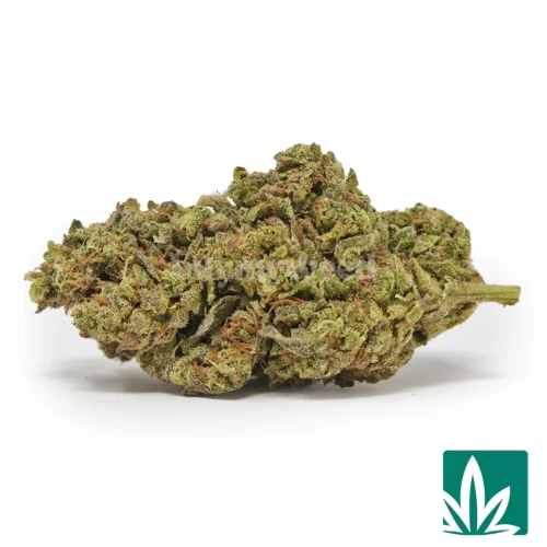 Gushmintz Strain - 1