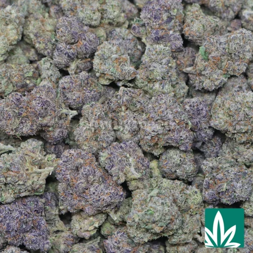 Juicy Gelato Strain - 2
