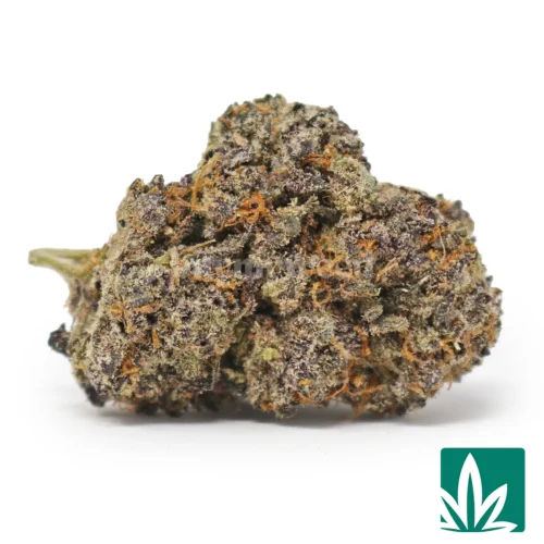 Juicy Gelato Strain - 1