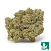Legend OG Strain - 1