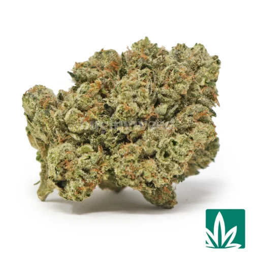 Legend OG Strain - 1