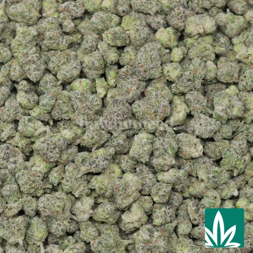 Lemon Cherry Runtz 'Smalls' Strain - 2