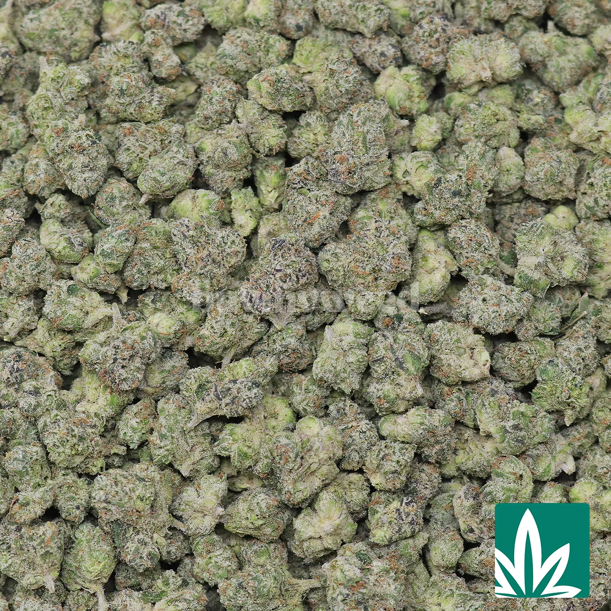 Lemon Cherry Runtz 'Smalls' Strain - 2