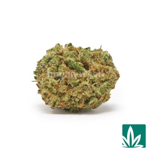 Mango Crack 'Smalls' Strain - 1