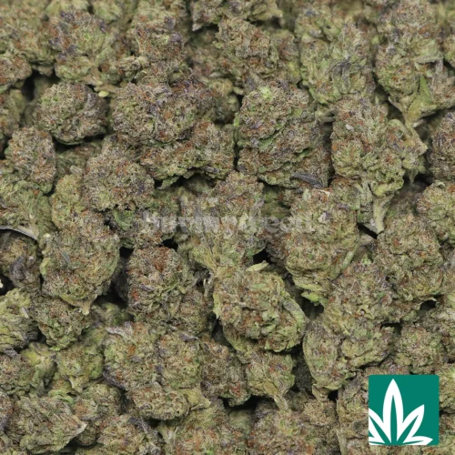 Rainbow Sherbert Strain - 2