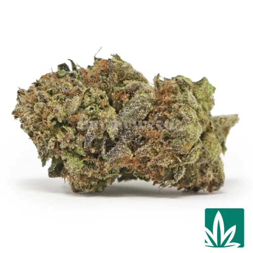 Rainbow Sherbert Strain - 1
