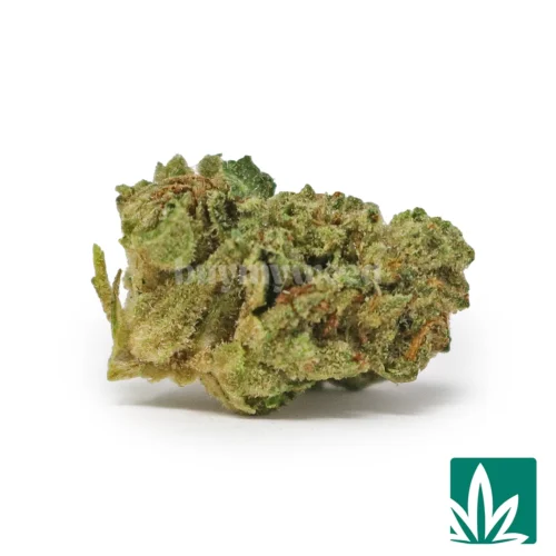Rascal OG 'Smalls' Strain - 1