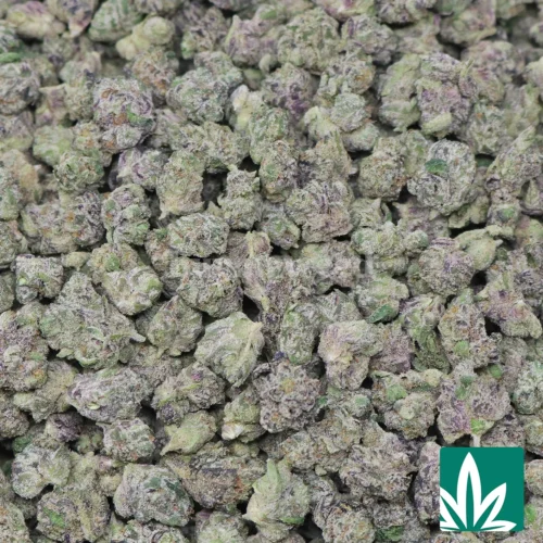 Scottie Pippen 'Smalls' Strain - 2