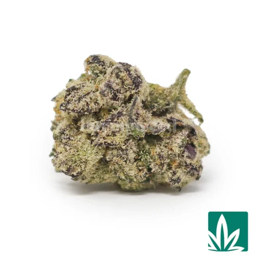 Scottie Pippen 'Smalls' Strain - 1
