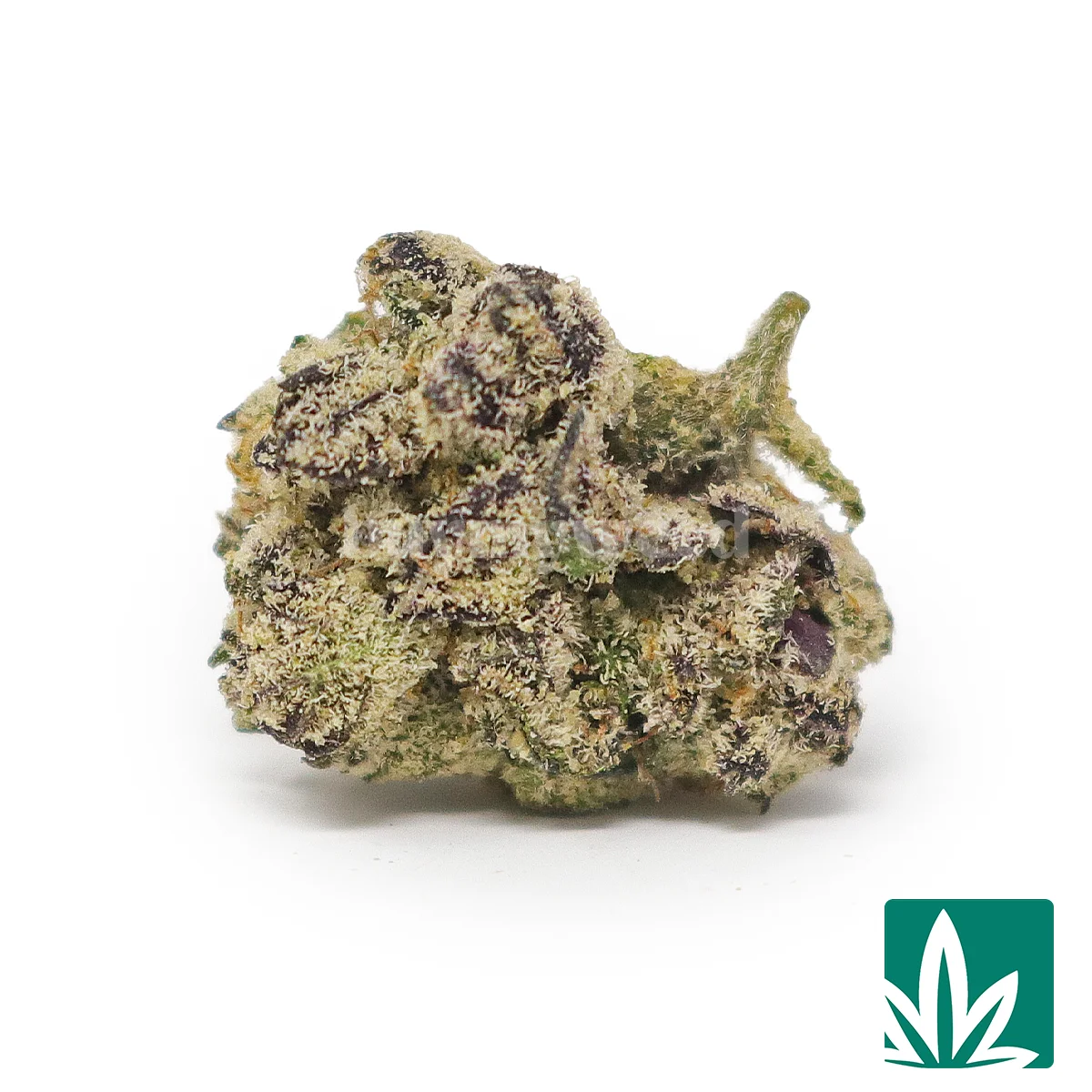 Scottie Pippen 'Smalls' Strain - 1