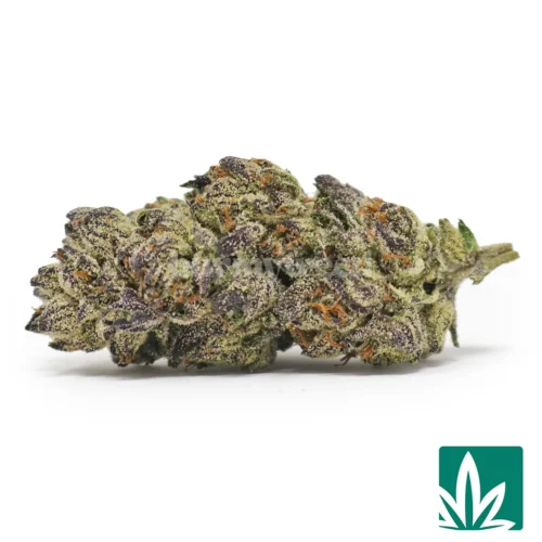 Shortcake Strain - 1