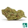 Slapz Strain - 1