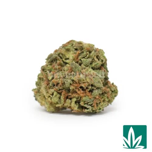 Space Burger 'Smalls' Strain - 1