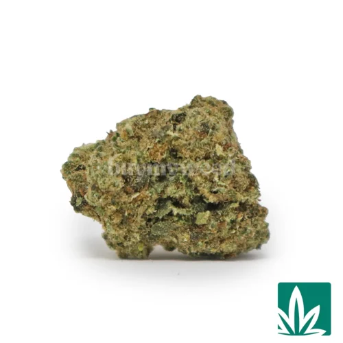 Truffle Butter 'Smalls' Strain - 1
