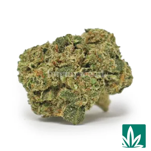 Jokerz Candy Strain - 1