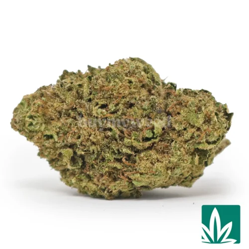 Black Cherry Gelato Strain - 1