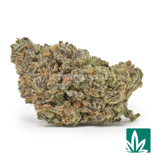 Blue Jammer (Blue Jam) Strain - 1