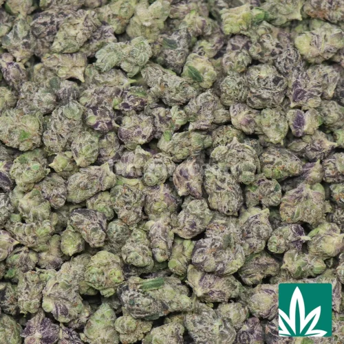 Blue Zlushie 'Smalls' Strain - 2