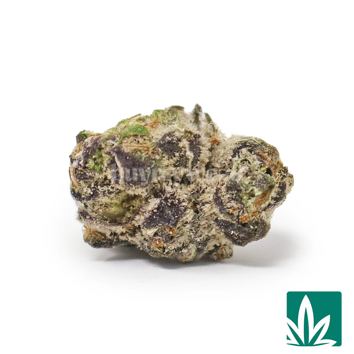 Blue Zlushie 'Smalls' Strain - 1