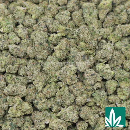 Frosted Cherries 'Smalls' Strain - 2