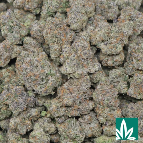 Gello Strain - 2