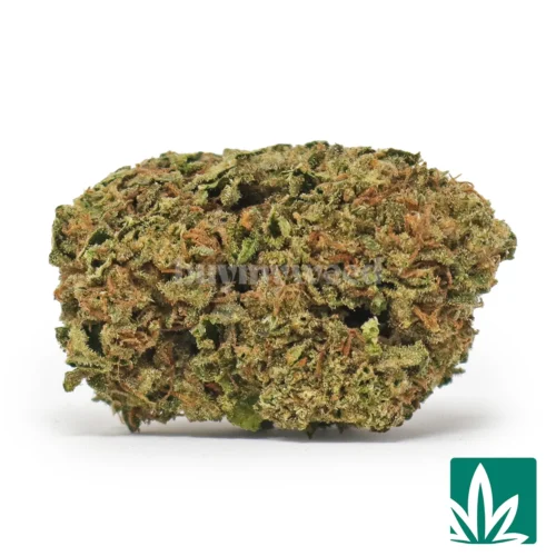Grunts Strain - 1
