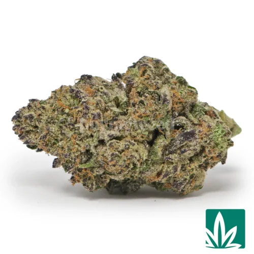 Gushers Strain - 1