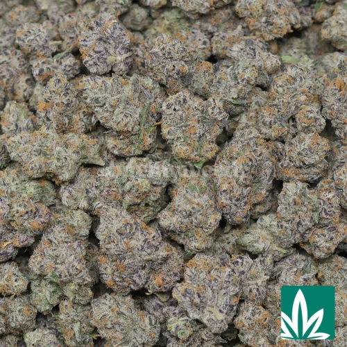 HFCS Strain - 2