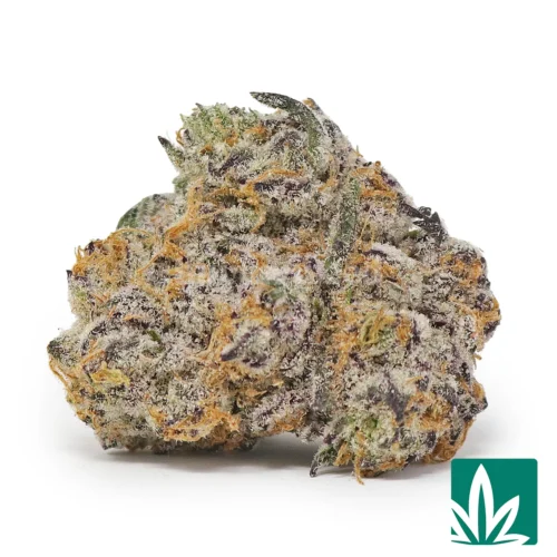 HFCS Strain - 1