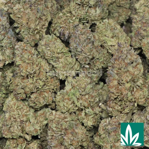 Icy Cake Strain - 2