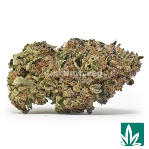 Icy Cake Strain - 1