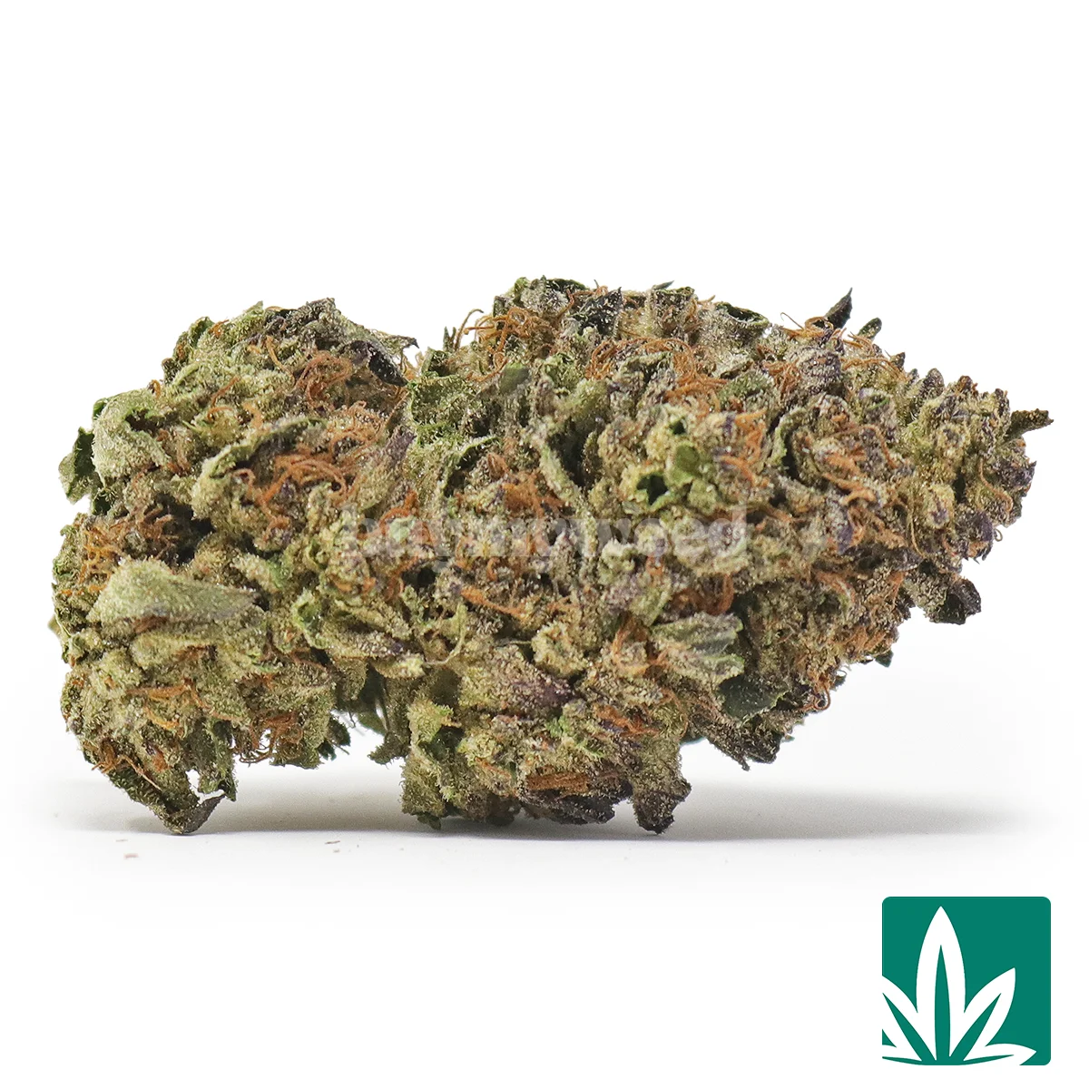 Icy Cake Strain - 1
