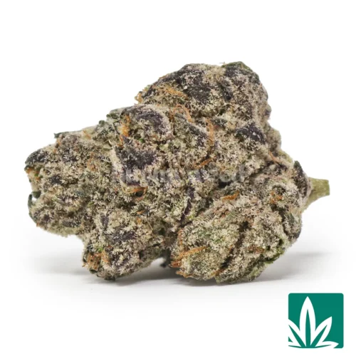 Jelly Roll Strain - 1