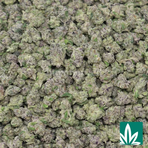Lemon Dior 'Smalls' Strain - 2