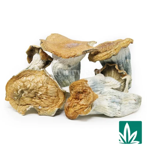Manna Strain - 2