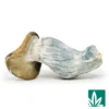 Manna Strain - 1