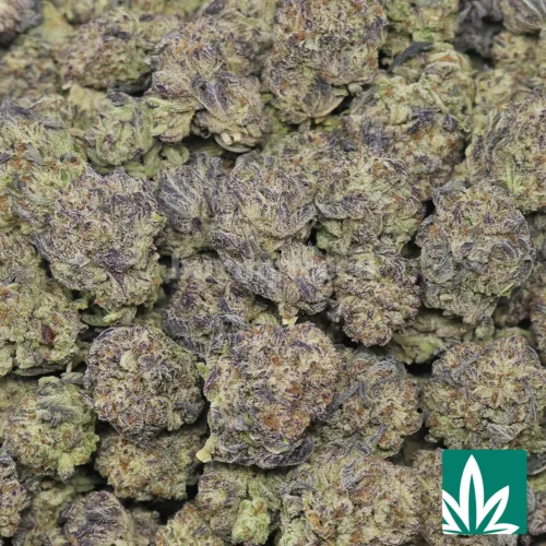 Oreos Strain - 2