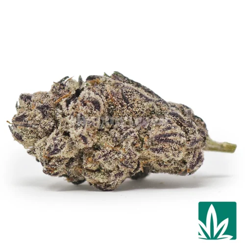 Purple Rain Strain - 1