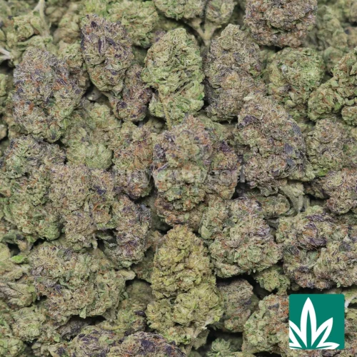 Runtz Strain - 2