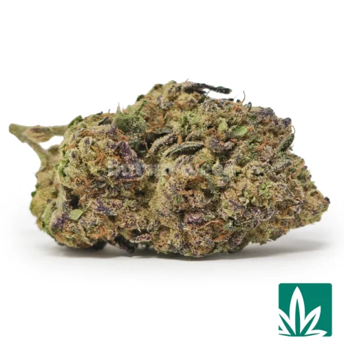 Runtz Strain - 1