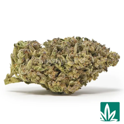 Secret Weapon Strain - 1