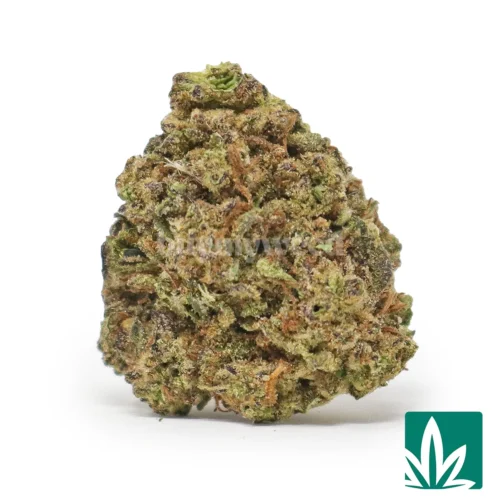 Space Burger Strain - 1